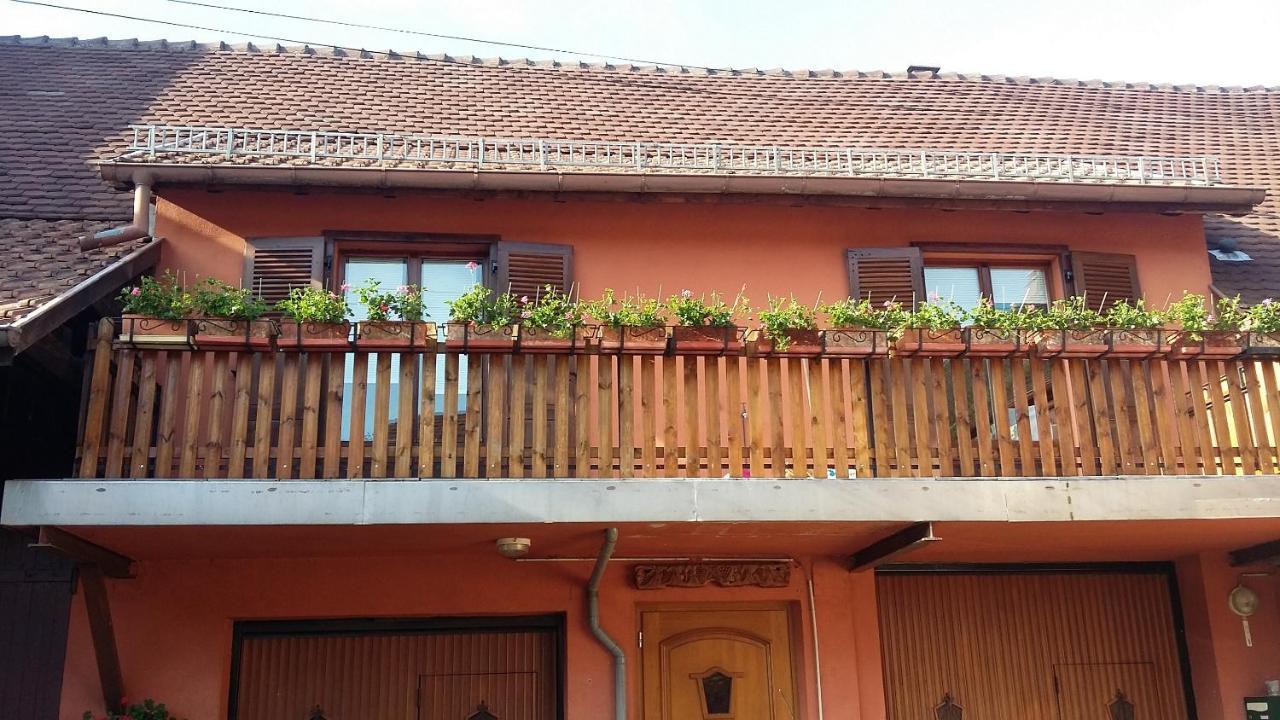Gite Du Vigneron Mittelwihr Extérieur photo